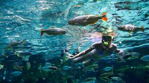 Chapada dos Guimarães / Nobres